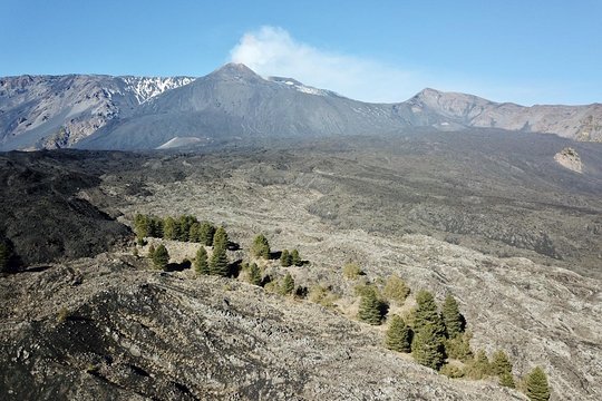Tour image 9