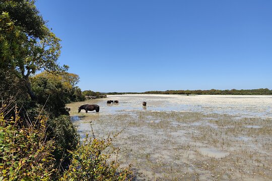 Tour image 2
