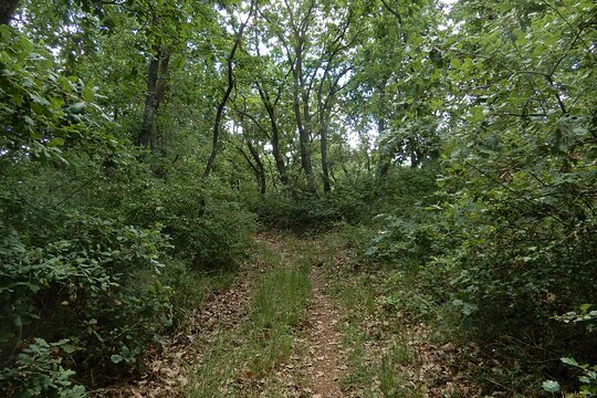 Tour image 3